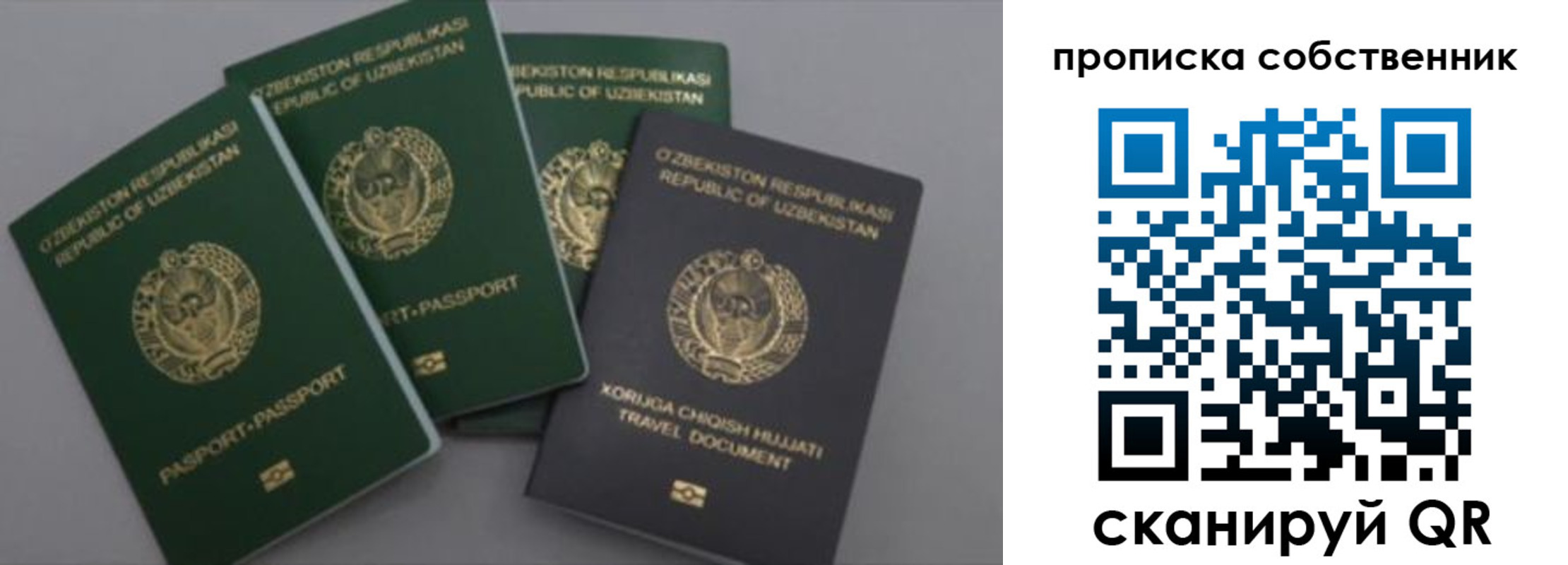 прописка штамп в Мордовии